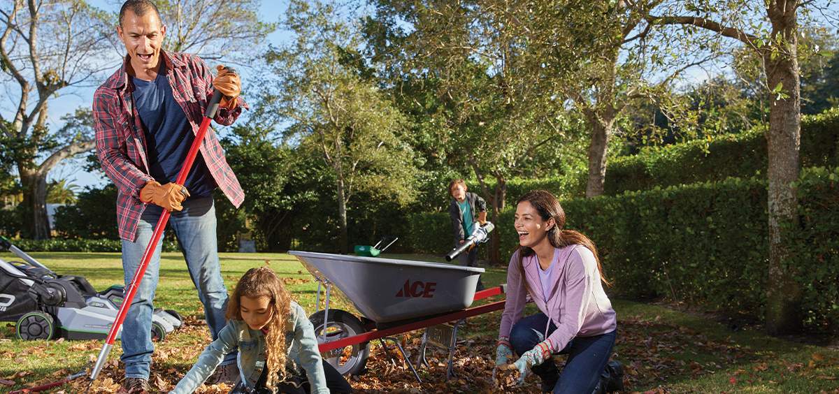 Top 10 Things You Can Do to Keep Your Garden Beautiful