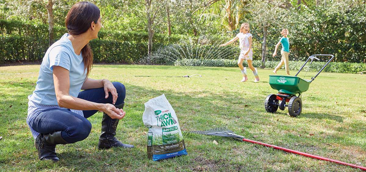 What fertilizer do I use and when do I use it?