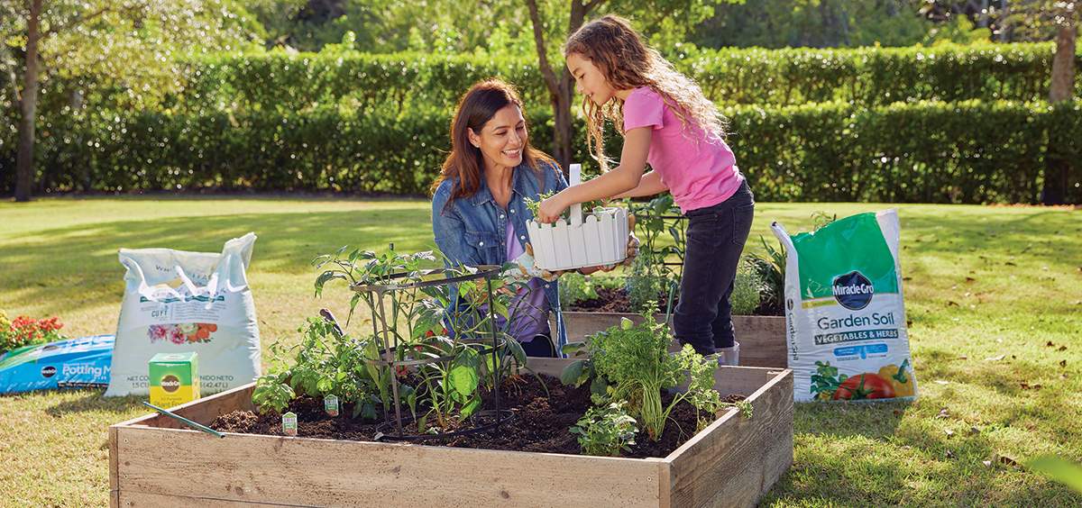 Planting in Pots and Raised Beds: How to plant and maintain